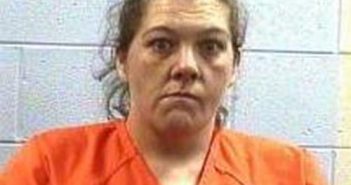 CARRIE HAMMERBECK | 2017-06-30 17:29:00 Fayette County, Tennessee Booking