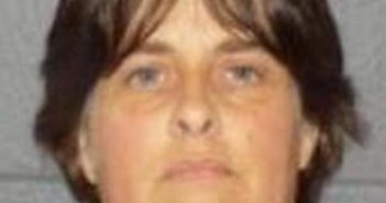 AMY STAFFORD | 2017-06-30 00:01:00 Delaware County, New York Booking