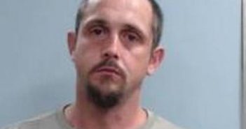 BILLY MCGEE | 2017-06-30 22:09:00 Fayette County, Kentucky Booking