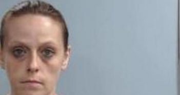 SANDRA RISNER | 2017-06-30 18:22:00 Fayette County, Kentucky Booking