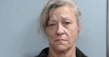 CYNTHIA MOORE | 2017-06-30 02:51:00 Fayette County, Kentucky Booking