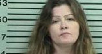 TAMARA STUER | 2017-07-01 01:40:00 Hood County, Texas Booking