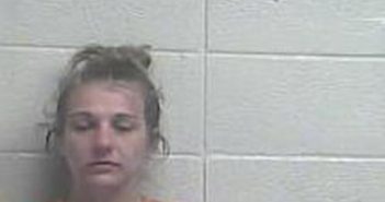 LINDSEY MAHER | 2017-07-03 14:47:00 Jessamine County, Kentucky Booking