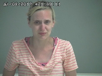 LOWE HILARY F | 2017-07-04 Sandusky County, Ohio Booking