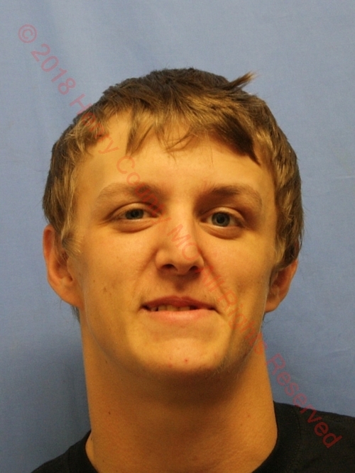 KEITH IRWIN DOWNEY #, Henry County, Missouri - 2017-07-05 00:09:20