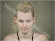 HINNANT, LISA | 2017-07-05 Harnett County, North Carolina Booking