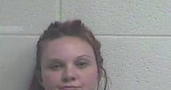 KRISTEN MEECE | 2017-07-06 13:37:00 Jessamine County, Kentucky Booking