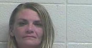 LINDSAY WARD | 2017-07-09 22:28:00 Jessamine County, Kentucky Booking
