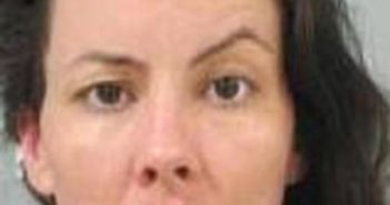 SHAWNA WILLE | 2017-07-09 21:52:00 Fayette County, Iowa Booking SHAWNA WILLE | 2017-07-09 21:52:00 Fayette County, Iowa Booking