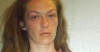 AMBER NADOLSKI | 2017-07-10 20:20:00 Lincoln County, Tennessee Booking