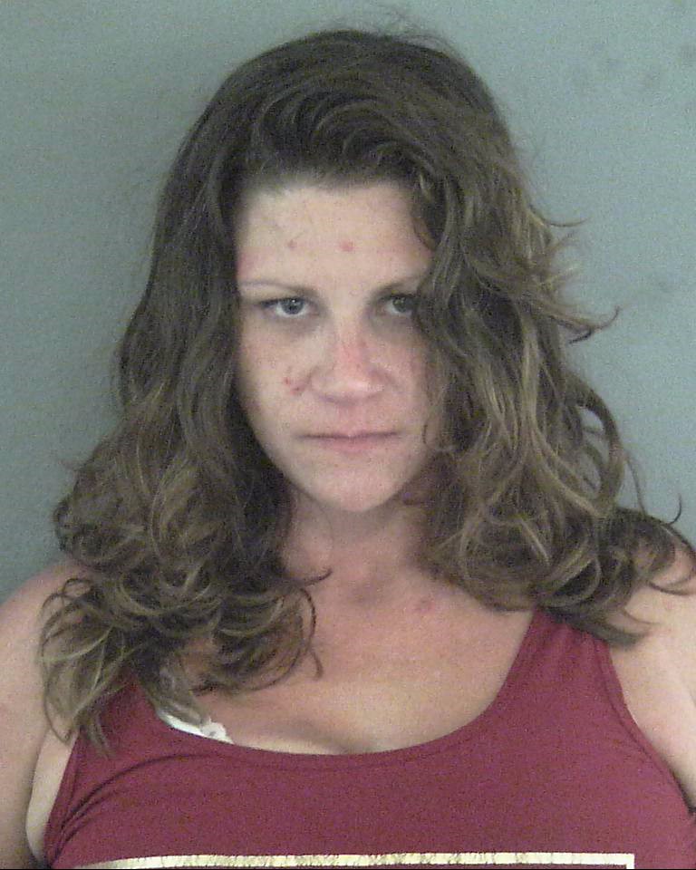 BERROYER, EMILY RUTH #, Sumter County, Florida - 2017-07-11 06:07:07