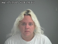 NORRIS JAYME C | 2017-07-12 Sandusky County, Ohio Booking