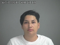 DIAZ HAYDEE UNIQUE | 2017-07-13 Sandusky County, Ohio Booking