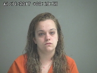 STEVENSON MIRANDA JL | 2017-07-13 Sandusky County, Ohio Booking