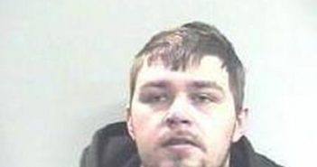 BRANDON WOODS | 2017-07-13 12:08:00 Fayette County, Kentucky Booking