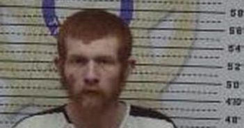 <B>BRANDON</B> <B>ROBINSON</B> #, Mcminn County, Tennessee - 2017-07-14 17:03:00