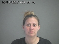 HUNT LOLA M | 2017-07-14 Sandusky County, Ohio Booking