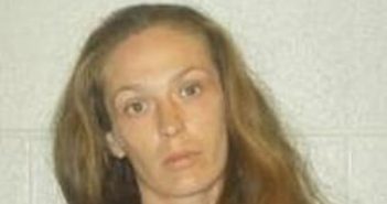 AMBER NADOLSKI | 2017-07-15 19:42:00 Lincoln County, Tennessee Booking