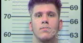 <B>DAVIS</B>, <B>JOSEPH</B>, <B>WAYNE</B> #, Mobile County, Alabama - 2017-07-16