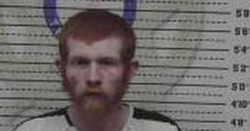 <B>BRANDON</B> <B>ROBINSON</B> #, Mcminn County, Tennessee - 2017-07-17 12:29:00
