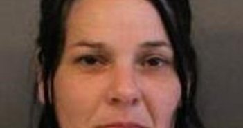 TARA FLINT | 2017-07-18 18:33:00 Cayuga County, New York Booking