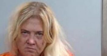 DIANE BROWN | 2017-07-18 12:54:00 Fayette County, Kentucky Booking