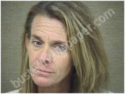 HOLLEY, TAMMY | 2017-07-20 Harnett County, North Carolina Booking