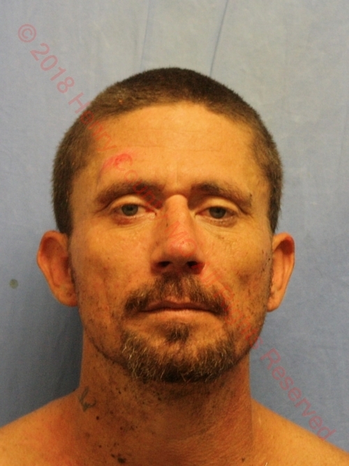TRAVIS LEE MILLER #, Henry County, Missouri - 2017-07-22 16:30:45
