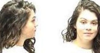 ELISA FERGUSON | 2017-07-22 18:59:00 Clark County, Indiana Booking