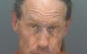 <B>GOODMAN</B>, <B>CHARLES</B> #, Pinellas County, Florida - 2017-07-23 04:31:34