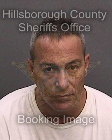 RODRIGUEZ, ANGEL RAFAEL #, Hillsborough County, Florida - 2017-07-23 00:54:00