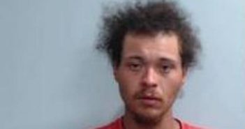 CHRISTOPHER GOODMAN | 2017-07-25 15:37:00 Fayette County, Kentucky Booking