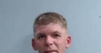 ALBERTO CERELLI | 2017-07-25 22:19:00 Fayette County, Kentucky Booking