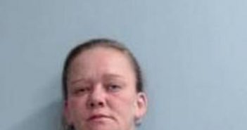 MELISSA PEREZ | 2017-07-25 19:42:00 Fayette County, Kentucky Booking