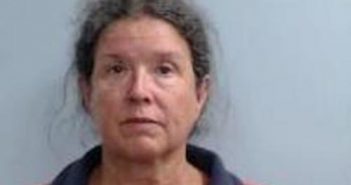 NANCY HAYCRAFT | 2017-07-26 15:43:00 Fayette County, Kentucky Booking