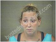 MCARTHUR, THERESA | 2017-07-27 Harnett County, North Carolina Booking