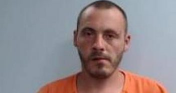 WILLIAM NICKERSON | 2017-07-28 19:22:00 Fayette County, Kentucky Booking