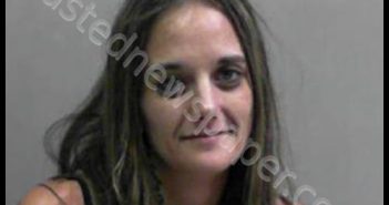 DAKON, SAMANTHA ADREA | 2017-07-28 21:05:00 Taylor County, West Virginia Booking