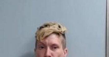 VIRGINA WALKER | 2017-07-28 23:01:00 Fayette County, Kentucky Booking