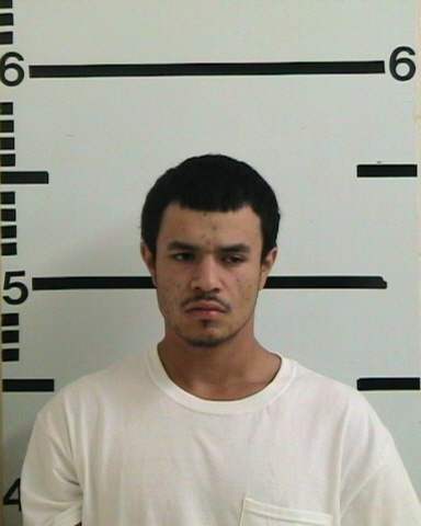 ROMAN, MANUEL ARTURO #, Kerr County, Texas - 2017-07-29