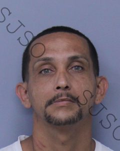 REYES MIRANDA, EDGAR DAVID | 2017-07-30 20:48:45 St. Johns County, Florida Booking