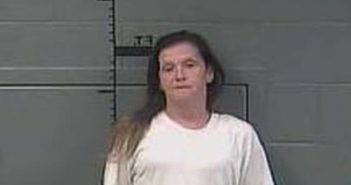 CRYSTAL HATFIELD | 2017-07-31 18:06:00 Perry County, Kentucky Booking