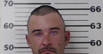 COLEMAN, AMBROISE MELVIN | 2017-07-31 Henderson County, Texas Booking