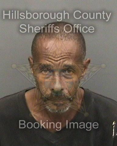 SIMMONS, LEON ANTHONY #, Hillsborough County, Florida - 2017-07-31 16:45:00