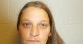 SHARON FLYNT | 2017-08-01 16:30:00 Lincoln County, Tennessee Booking