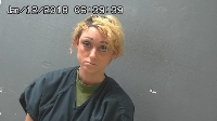 MORGAN MELISSA SUE | 2017-08-01 Van Buren County, Michigan Booking