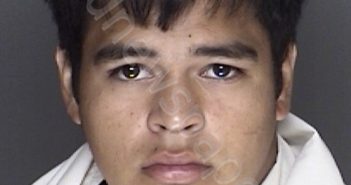 FLORES, JOSEPH RAY | 2017-08-03 04:52:00 Ellis County, Texas Booking