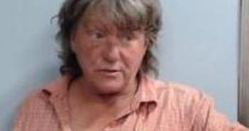 CAROLYN MARTIN | 2017-08-03 20:06:00 Fayette County, Kentucky Booking