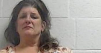 SUZANNE TRIPP | 2017-08-03 00:24:00 Jackson County, North Carolina Booking