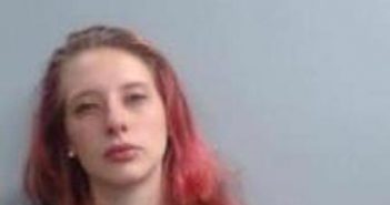 SAVANNA FOGLEMAN | 2017-08-03 21:56:00 Fayette County, Kentucky Booking